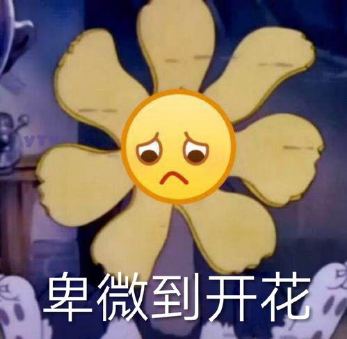  请问大家有没有什么止屁or止呼噜技巧吗