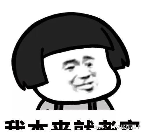  虎兄豹弟和光头老李