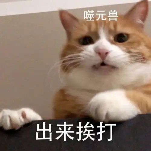 有什么让别人秒回的表情包 有什么让别人秒回的表情包