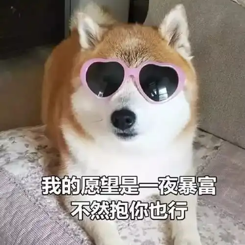 小坏蛋表情包开心笑话