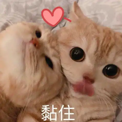  主题时装天衣良缘上新,唐青枫请你恰火锅啦u