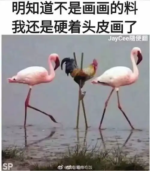  开心时刻没错,我就是靠脸吃饭