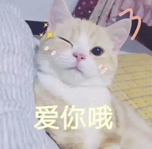  小布说天气快乐的日子像春天,总是太短暂,明日立夏