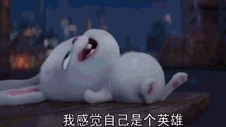  哄up专用收藏夹