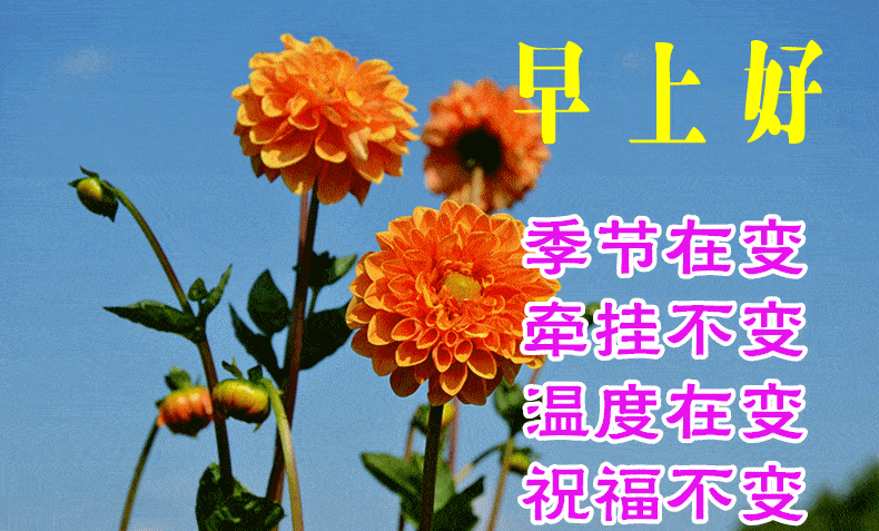  8月29日早上好动态表情图片大全,早晨好动图美图大全