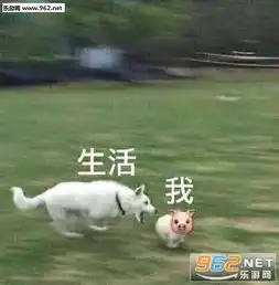  生活与我系列图片生活和我表情包原图下载乐游网游戏下载