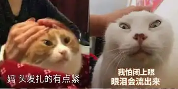  陈都灵晒表情包回应红毯造型惹议绑太紧头皮疼