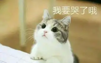  车是我开的,就算坐牢也不怕东莞女司机如愿以偿