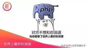  php是世界上最好的语言表情包合集