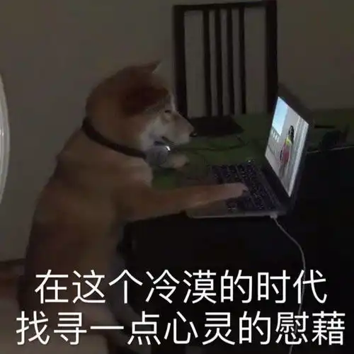 沙雕表情包l午夜心碎 沙雕表情包l午夜心碎