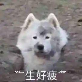  帅哥,来点特殊服务吗哈哈哈哈哈哈我差点笑裂开了