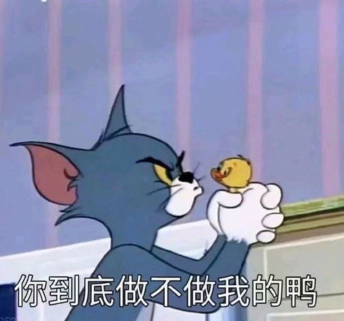  最新热门可爱搞笑表情包图片新的一天,冲鸭,怪不好意思的