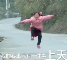  社会我丽姐表情包合集变形记社会我丽姐人冷路子野什么意思