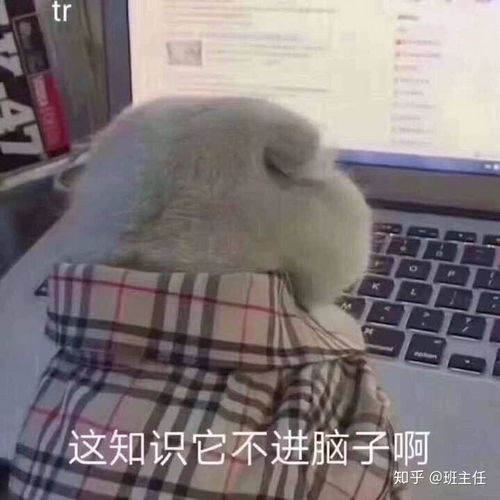  浙江应急响应调整为三级,意味着开学不远了吗