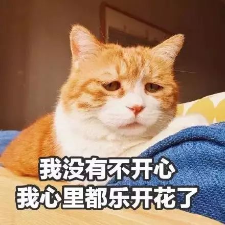  2017年度表情包大赏,2018斗图从此不输