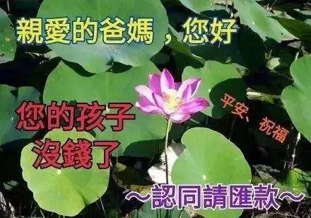  双11来了继续伸手党吗除非伸手做锅盔加盟还能原谅