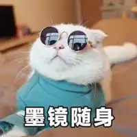  网红表情包图片大全
