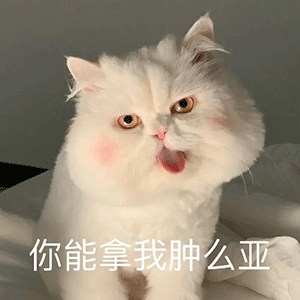  40张沙雕表情包你居然馋我身子,小哥哥进我的圈套