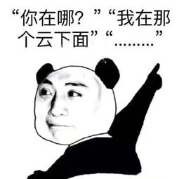  求路痴的表情包