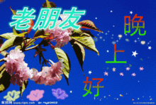  晚上好的表情晚上好表情包