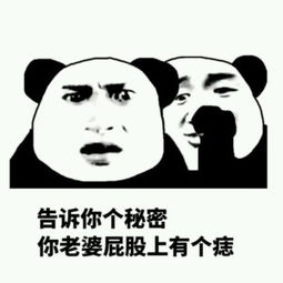  斗图表情包每日5分钟右键另存为系列29