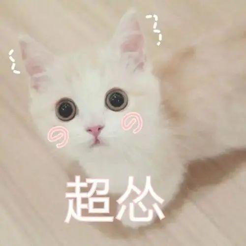  腾讯复试结果要等多久重要有人复试结束,热乎的复试经验来了