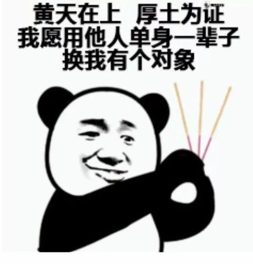  熊猫头表情包i是什么蒙蔽了我的双眼
