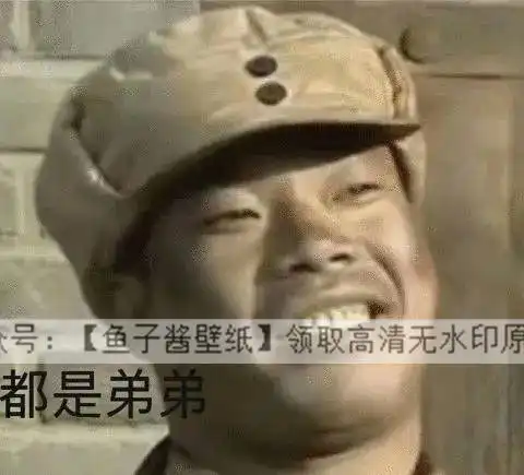  亮剑表情包合集