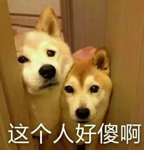  除了捐栋楼,国际生想上常青藤盟校其实还有一个方法