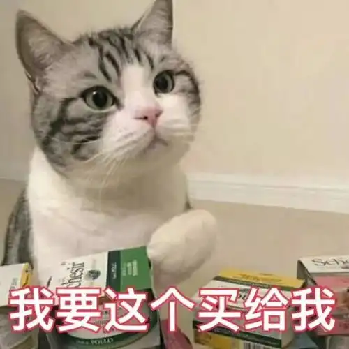  今天我想对你说