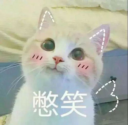  还记得那些年来自你家主子的礼物嘛