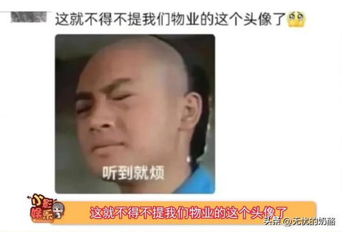 合成100个新的表情包五