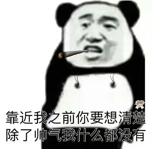 你瞅啥表情包熊猫单靠