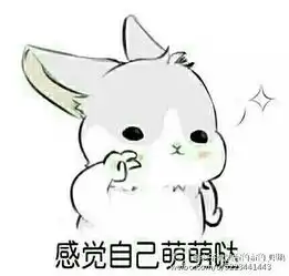  这个兔子表情叫什么,哪里能下载表情包