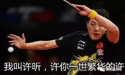  我姓张,嚣张的张