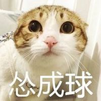  怂成一团表情包图片微信头像图片大全