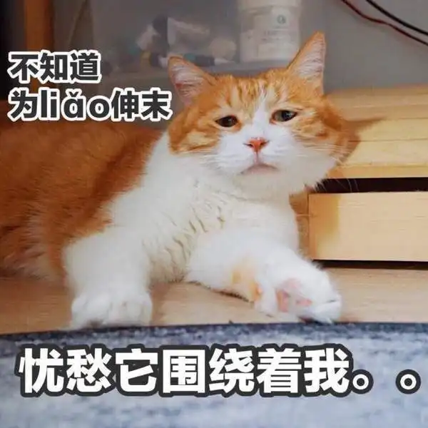 算我求你的表情包猫台风