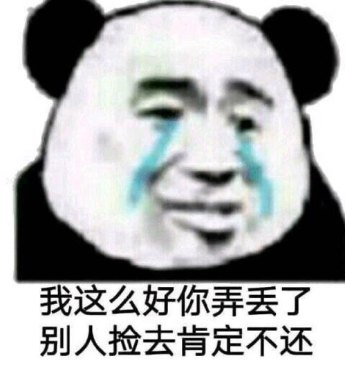  熊猫头表情包我这么好你弄丢了,别人捡去肯定不还