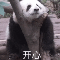 超可爱的熊猫表情包