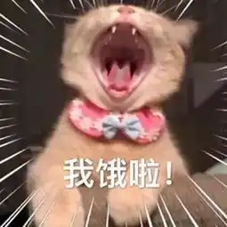  表情包听说有人背着小猫咪吃东西
