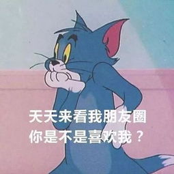  斗鱼乔碧萝gif动图动图gif乔碧萝斗鱼表情