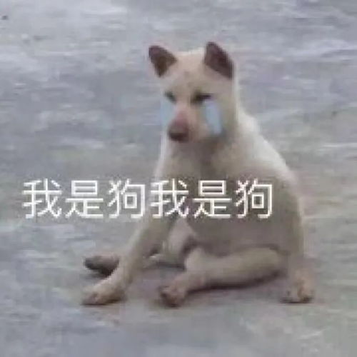 你消失了吗表情包狗狗