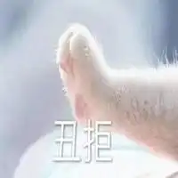  情侣套路表情包微信头像图片大全