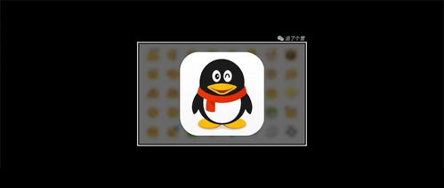  qq又出新表情,狗头变绿了