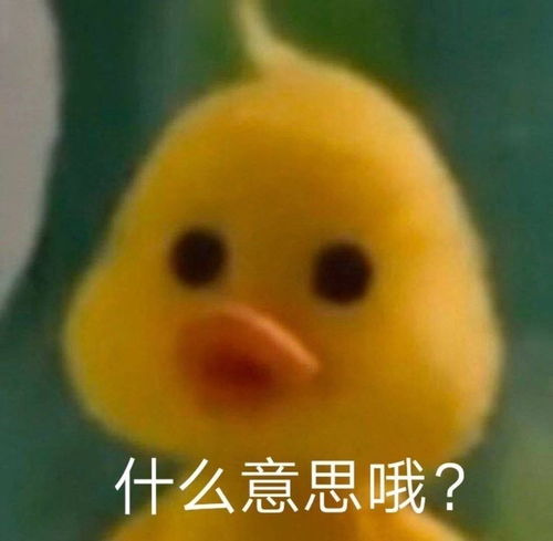 公主连接可可罗表情包沙