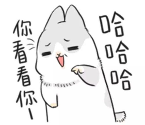  端午day1他们的脑袋里到底在想什么