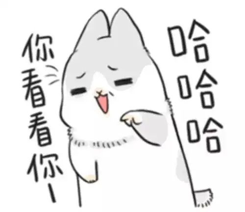  端午day1他们的脑袋里到底在想什么