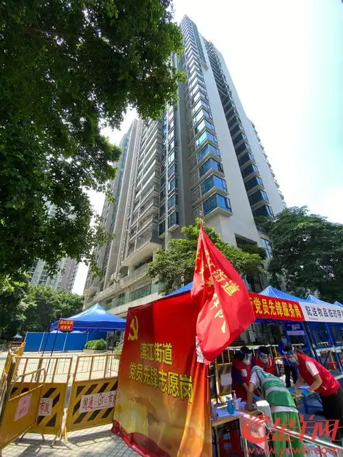 小黄脸表情包花棉袄高考