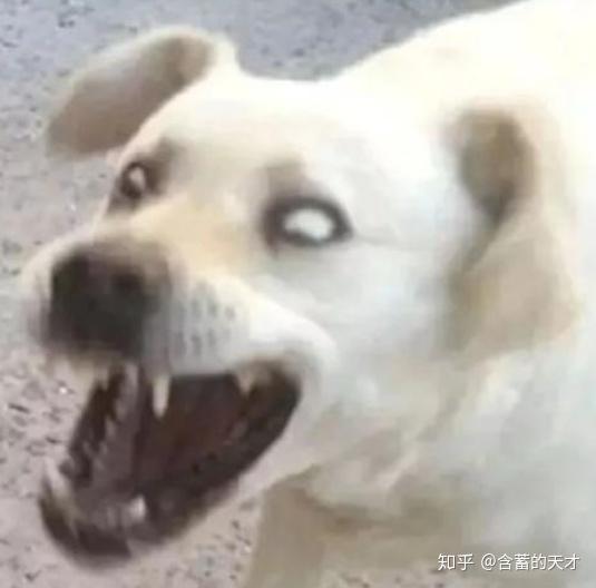  2020情人节,大家都在网上秀恩爱云表白,单身人士如何才能避免被伤害