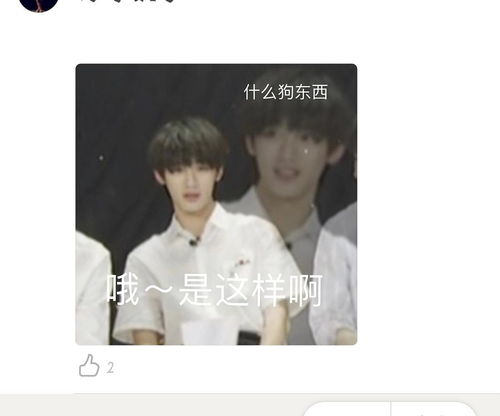  哈哈哈对不起,我觉得用表情包回应th的帖子好可爱...